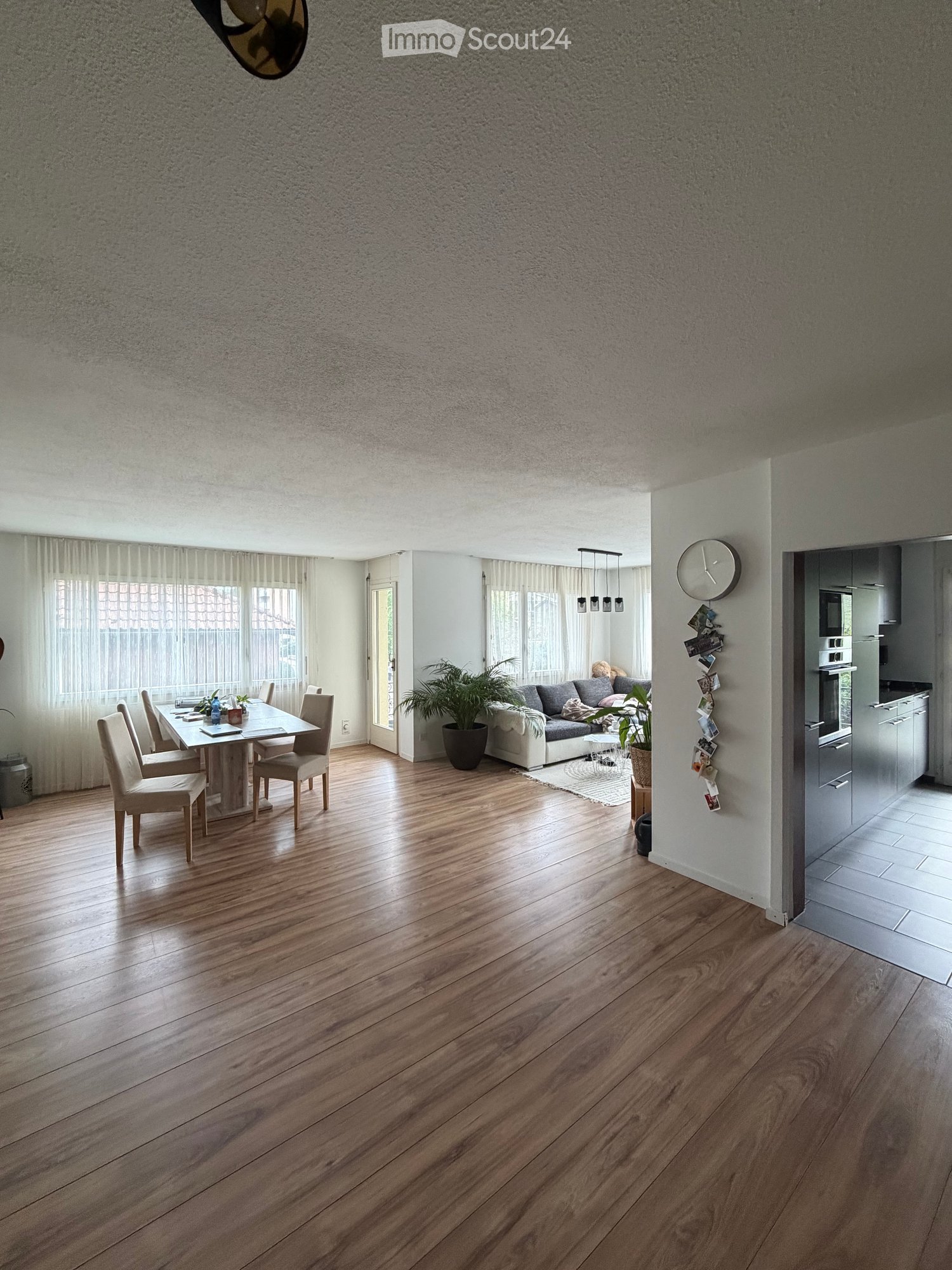 Open-plan living and dining area with wooden flooring, a sofa, dining table with chairs, potted plants, and a modern kitchen area visible in the background.