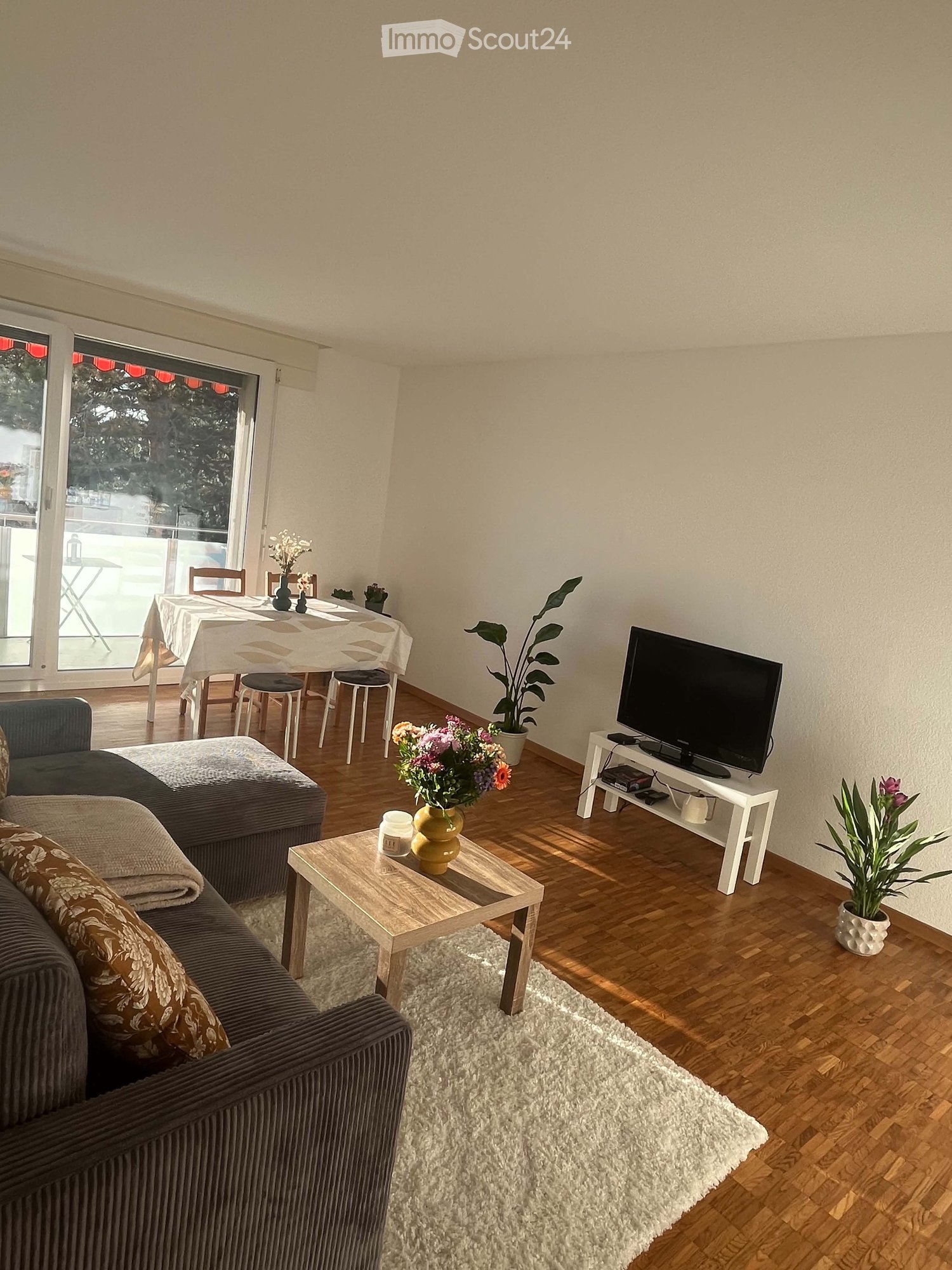 Living room with a grey sofa, coffee table, ottoman, dining table, chairs, television, and plants.