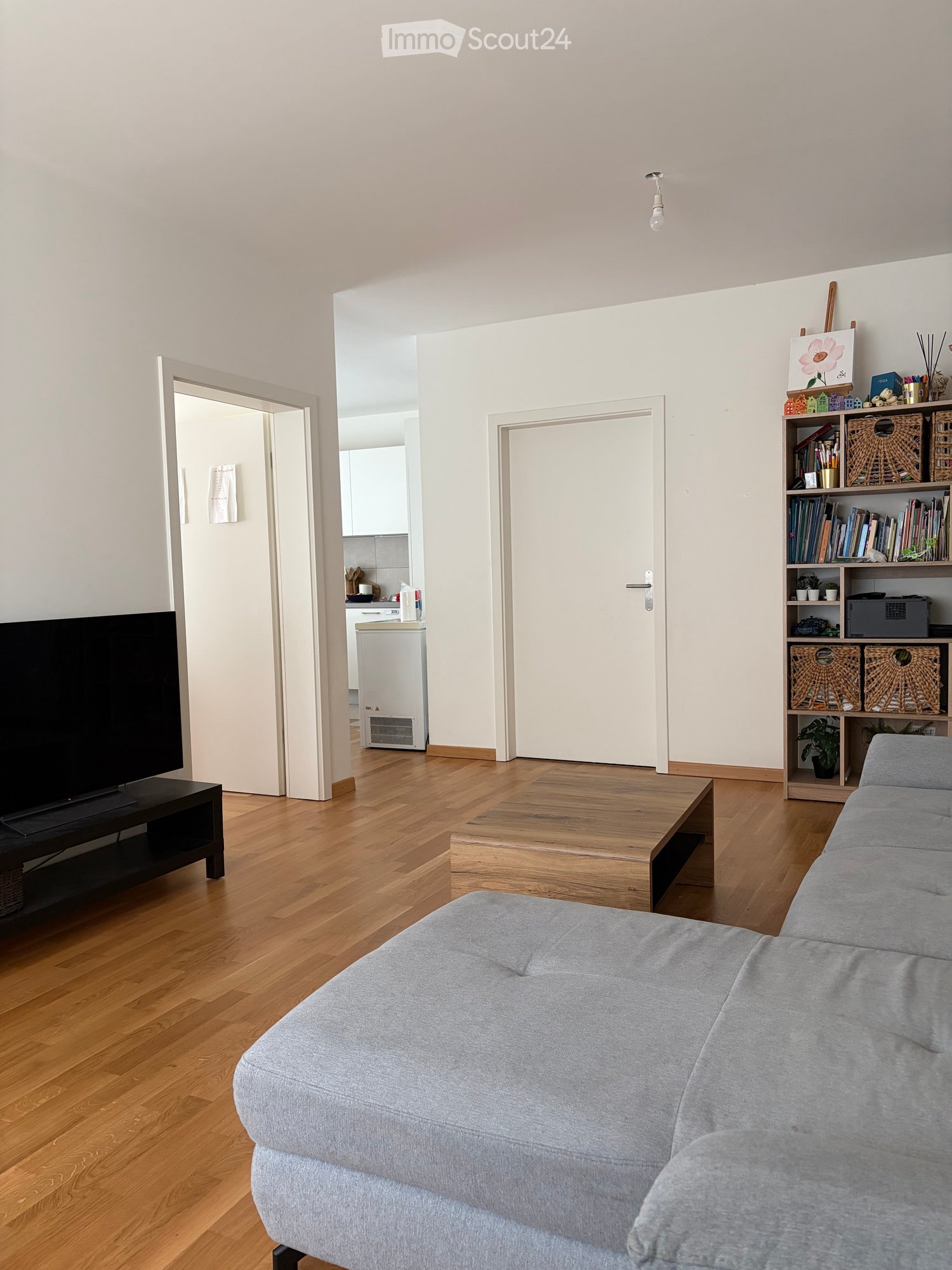 Modern living room with light wooden flooring, grey sofa, coffee table, TV stand, bookshelf, and a mirror on the wall.