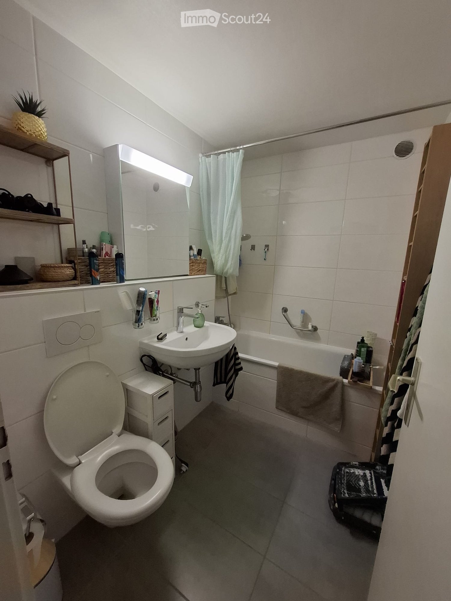 Modern bathroom with a toilet, sink, bathtub, and mirror. Includes shelves with toiletries, a towel, and a small plant on the shelf.