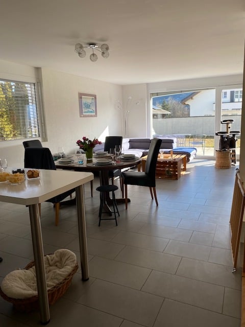 Bright, open-plan living and dining area with large windows, a grey sofa, a dining table with chairs, a cat tree, and a wicker basket on the floor.