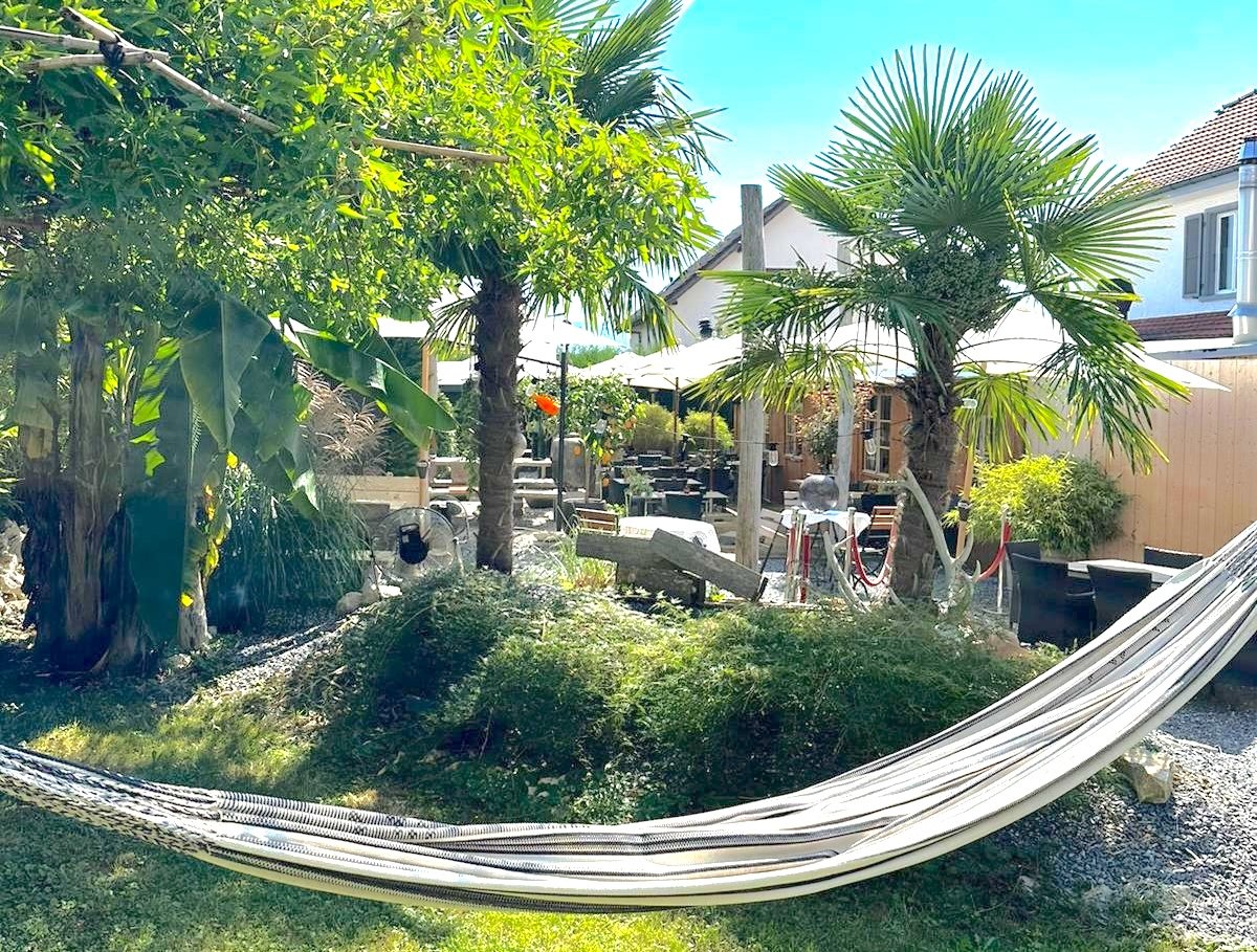 Lush tropical garden with palm trees, hammock, outdoor seating area, and a building in the background