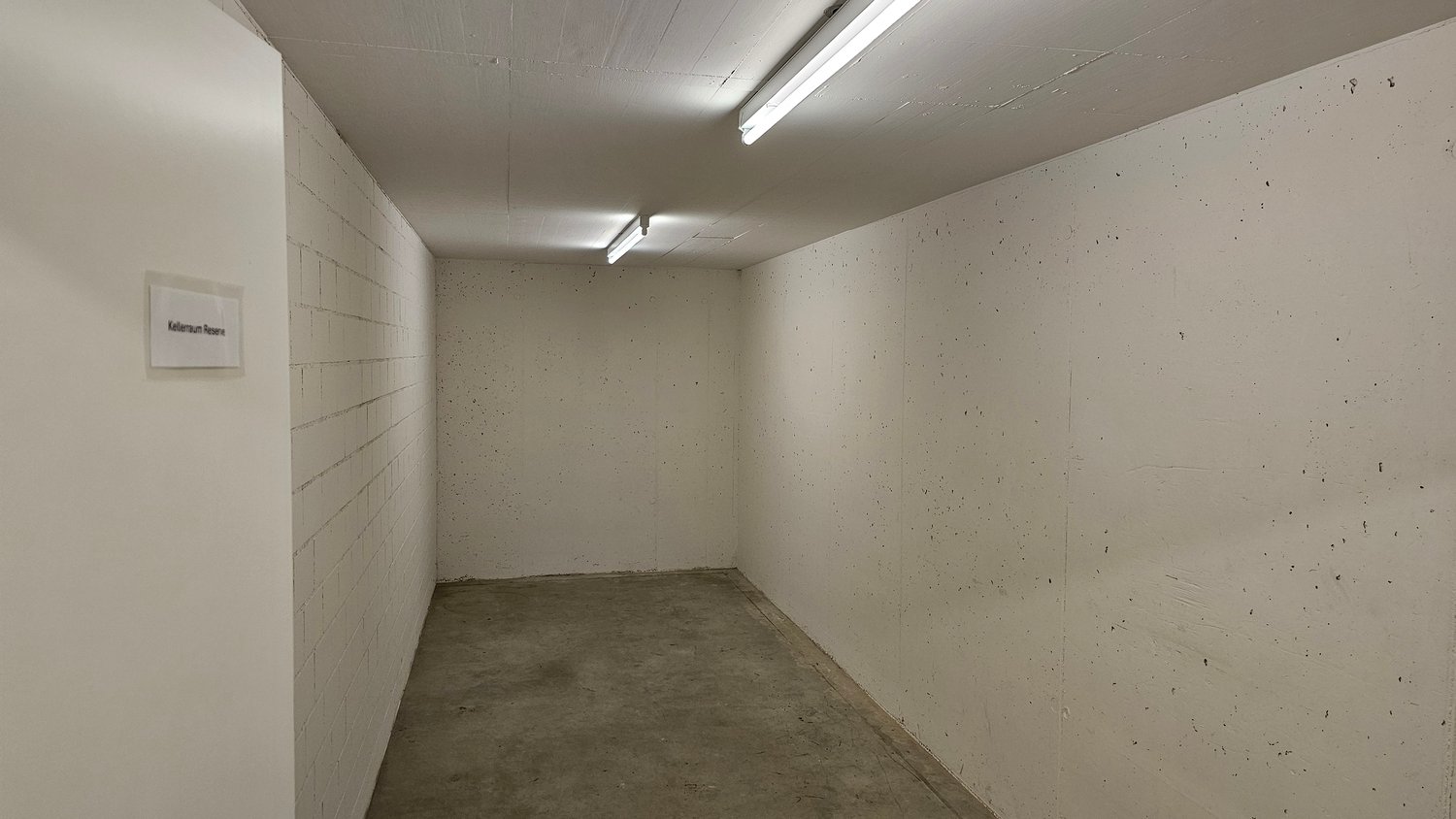 White walls and ceiling, concrete floor, two tube lights on the ceiling, an empty corridor
