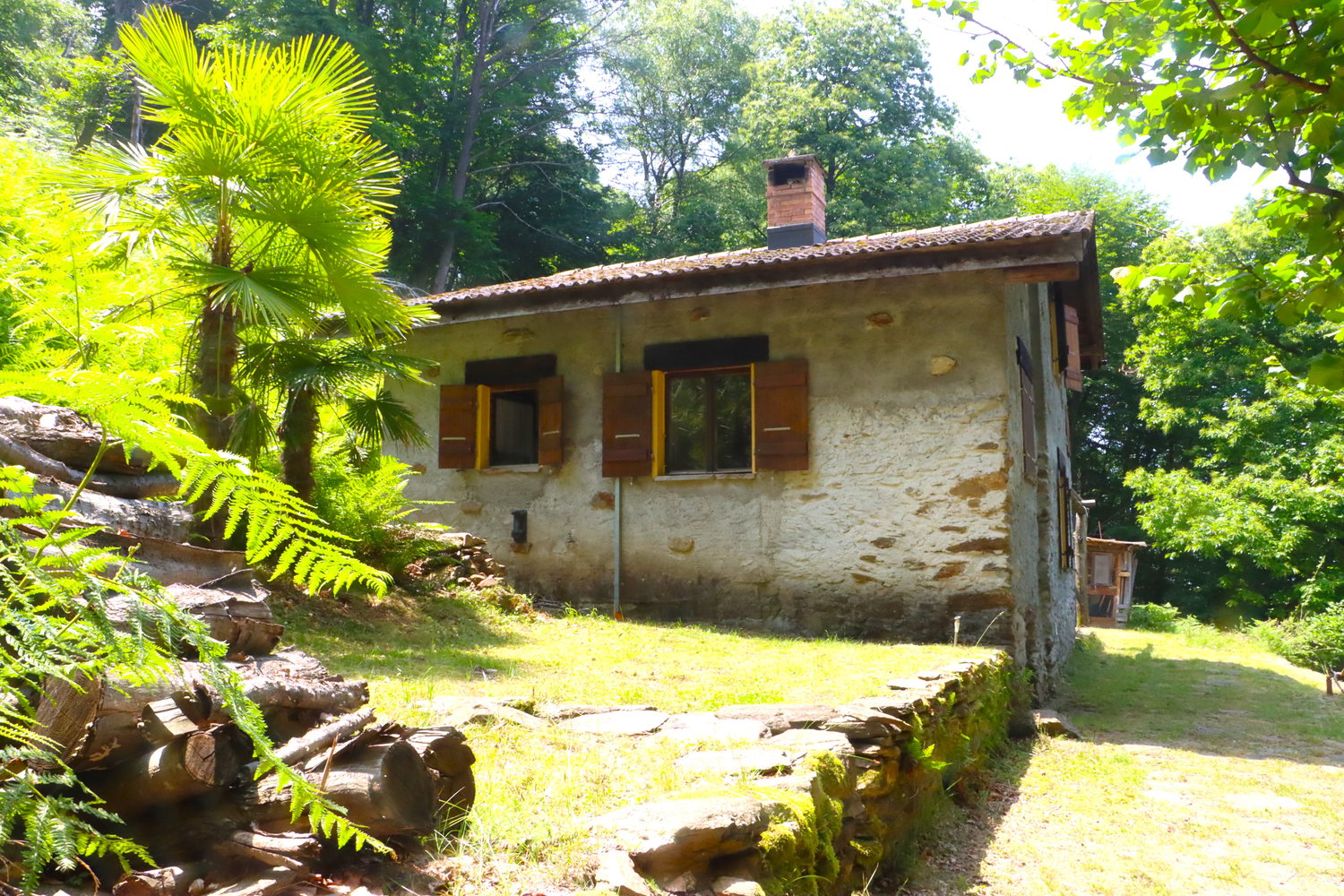 Single-story stone house with a tiled roof, surrounded by lush greenery including palm trees and ferns. The house has several windows and a small porch or balcony area.