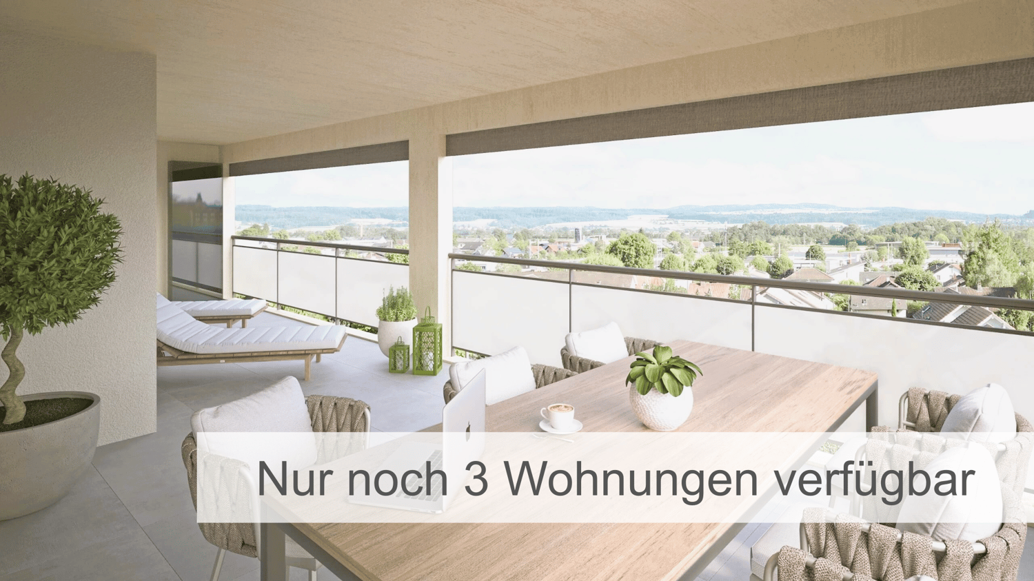 Glass railing, dining table, outdoor seating, potted plants, city view