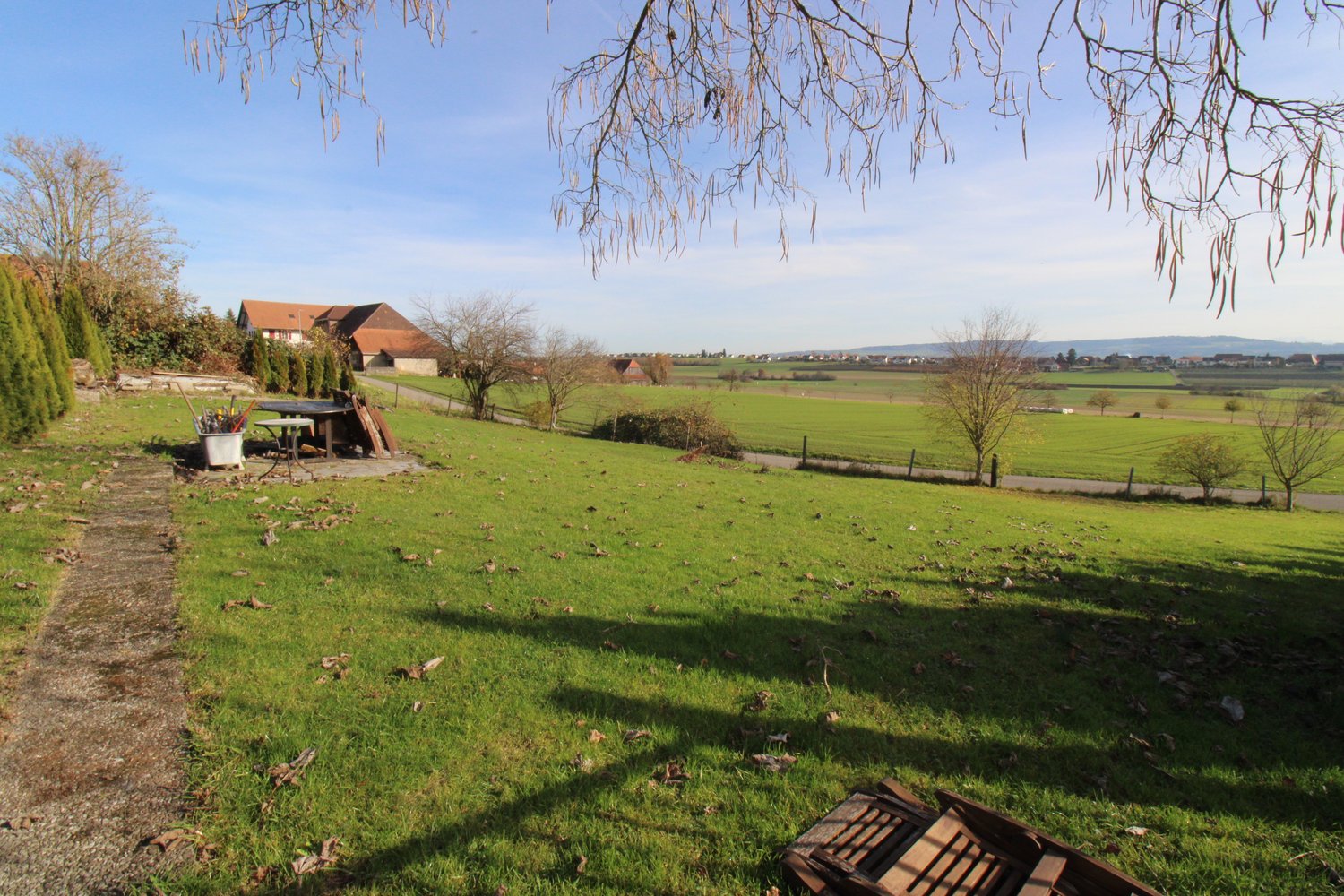 large grassy field with green grass, bushes, trees, table, bucket, wooden crate, driveway