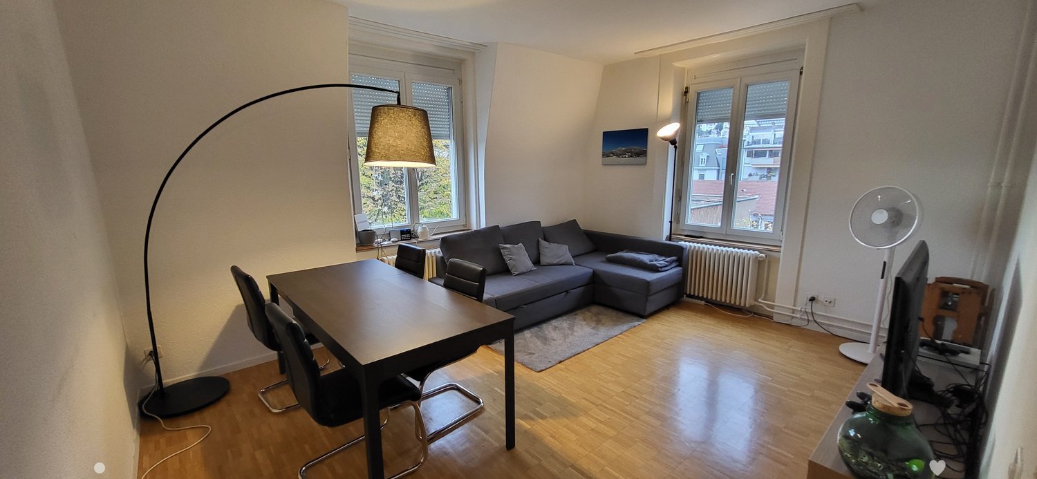 large room, grey couch, table with chairs, floor lamp, radiator, tv, picture frame, and a fan