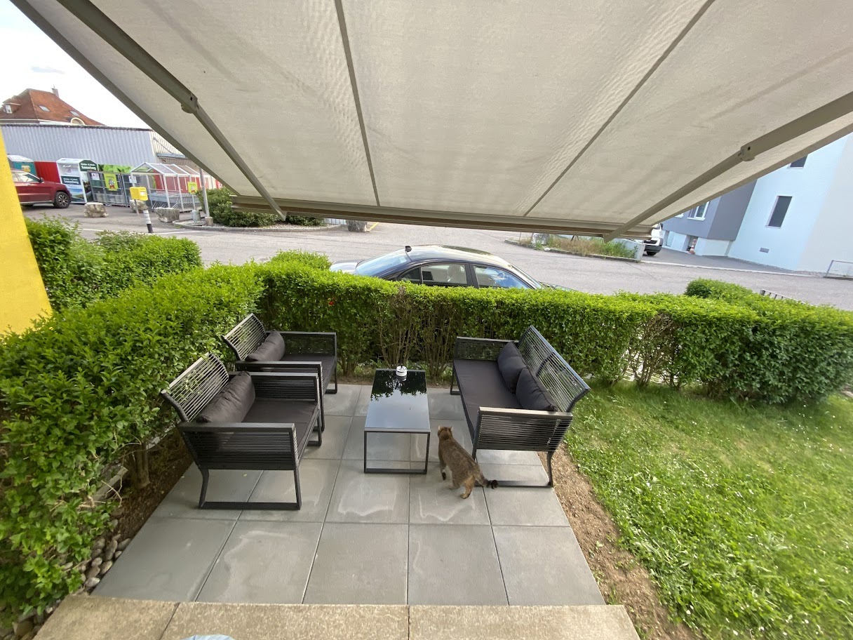 Outdoor furniture includes three chairs and a coffee table under a canopy, a cat walking on a patio.