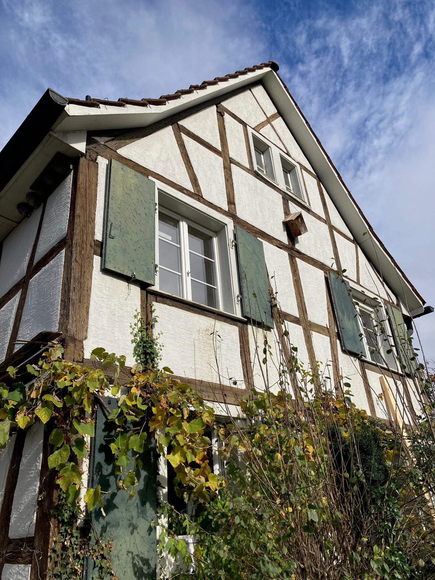 Two story house with tiled roof, white and brown painted walls, two birdshouses, green window shutters, hanging plants