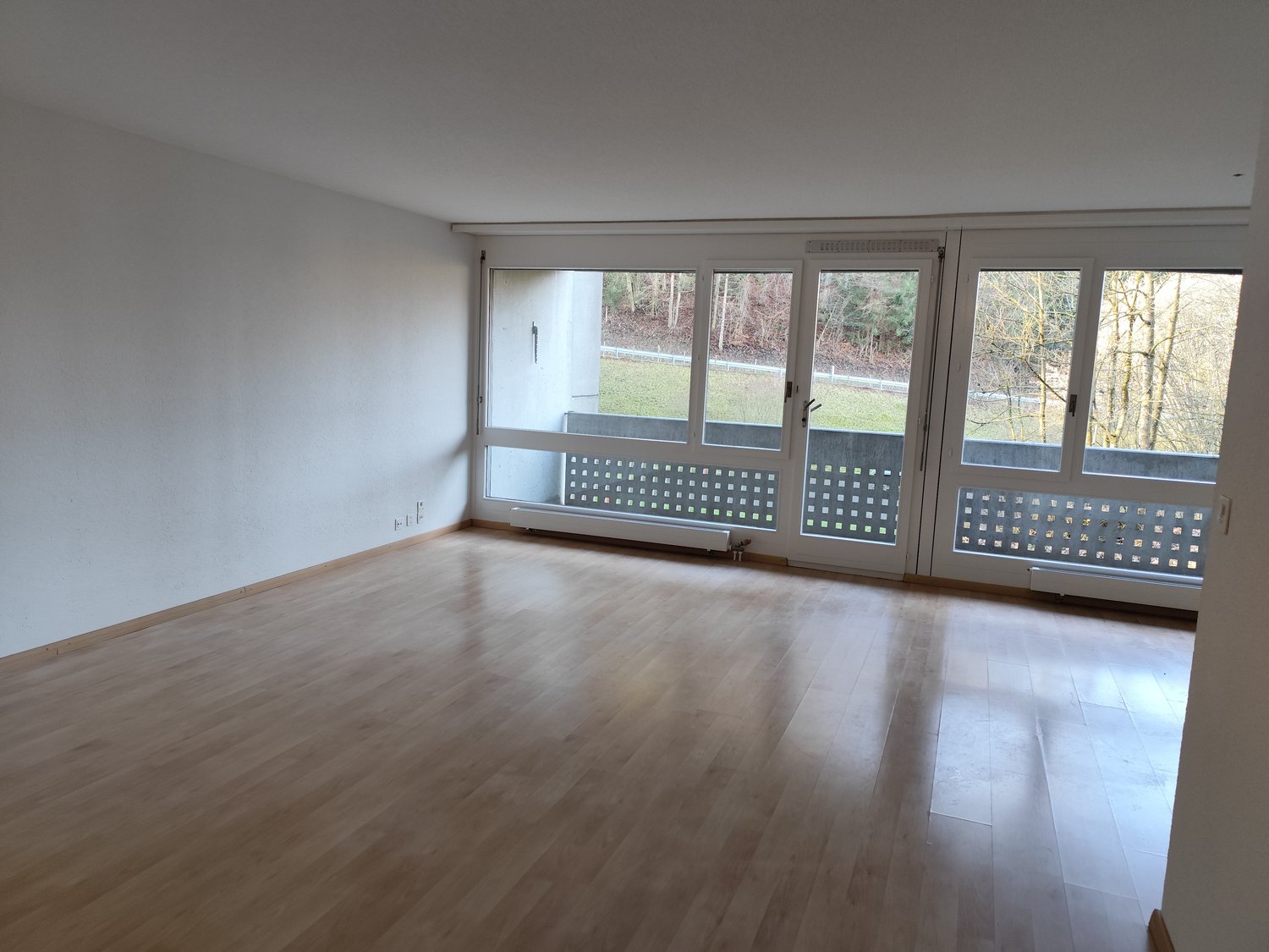 spacious room with hardwood floors, white walls, large windows leading to balcony, radiators