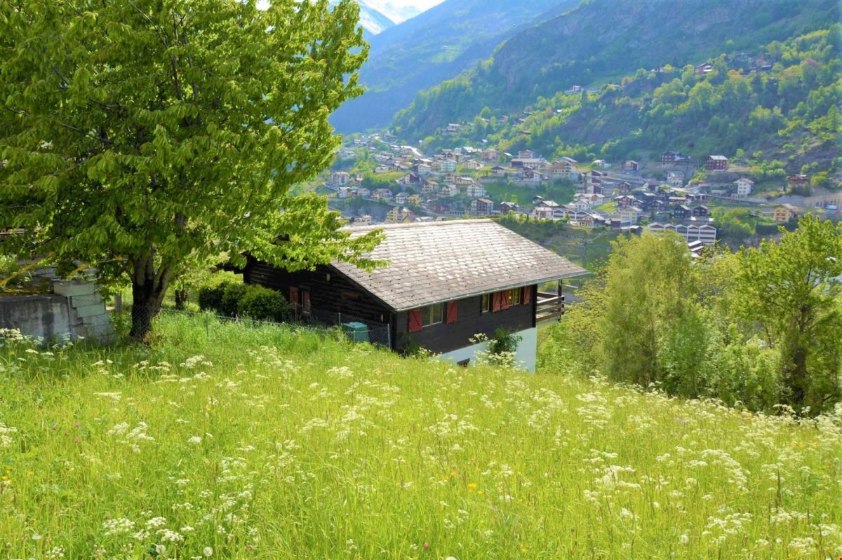 small wooden house, surrounded by grass and trees, mountain view
