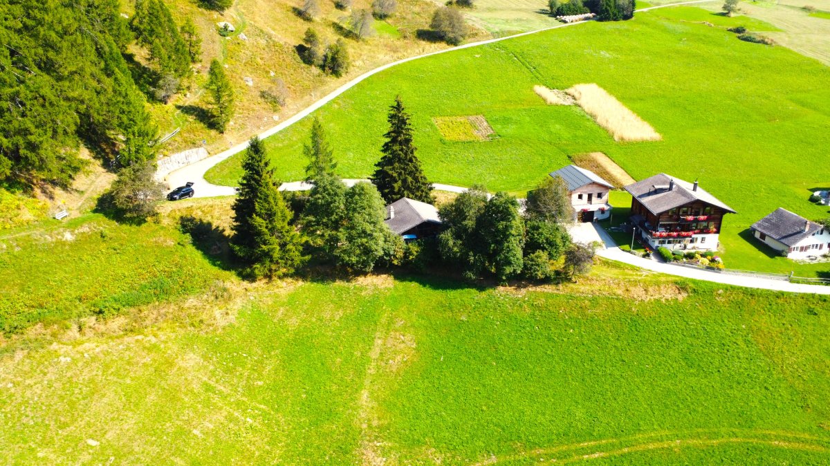 green grass, hills, houses, driveway, trees, car