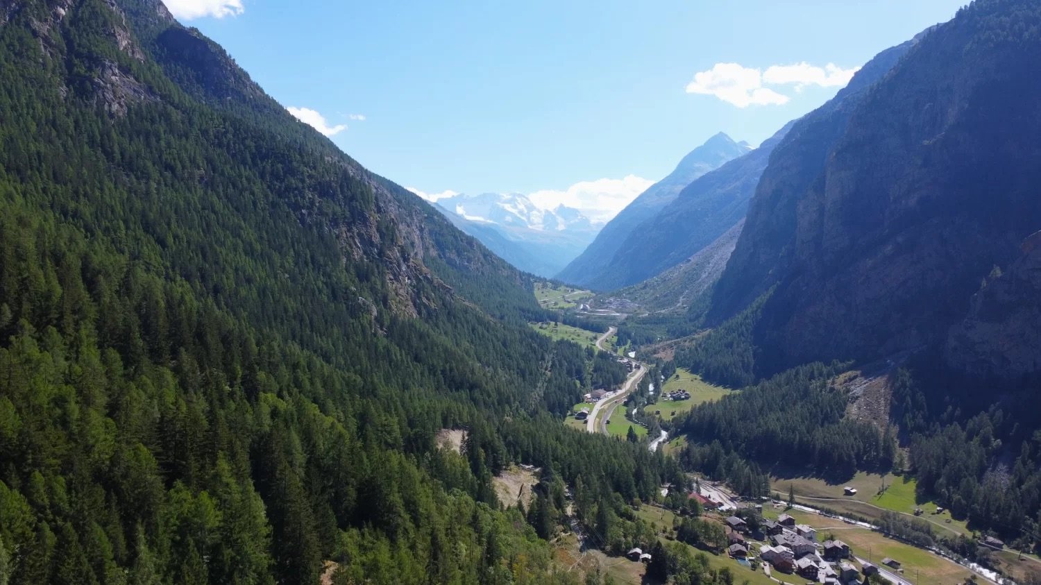 Dense coniferous forest, river, mountains, villages, clear blue sky