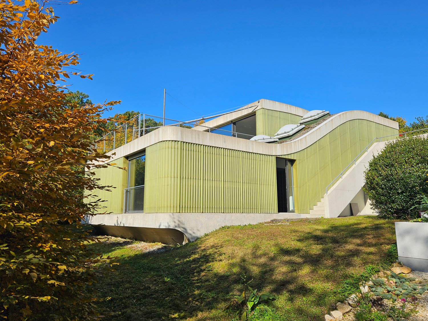 Green modern house, balcony, staircase, raised ground floor, surrounded by trees, view
