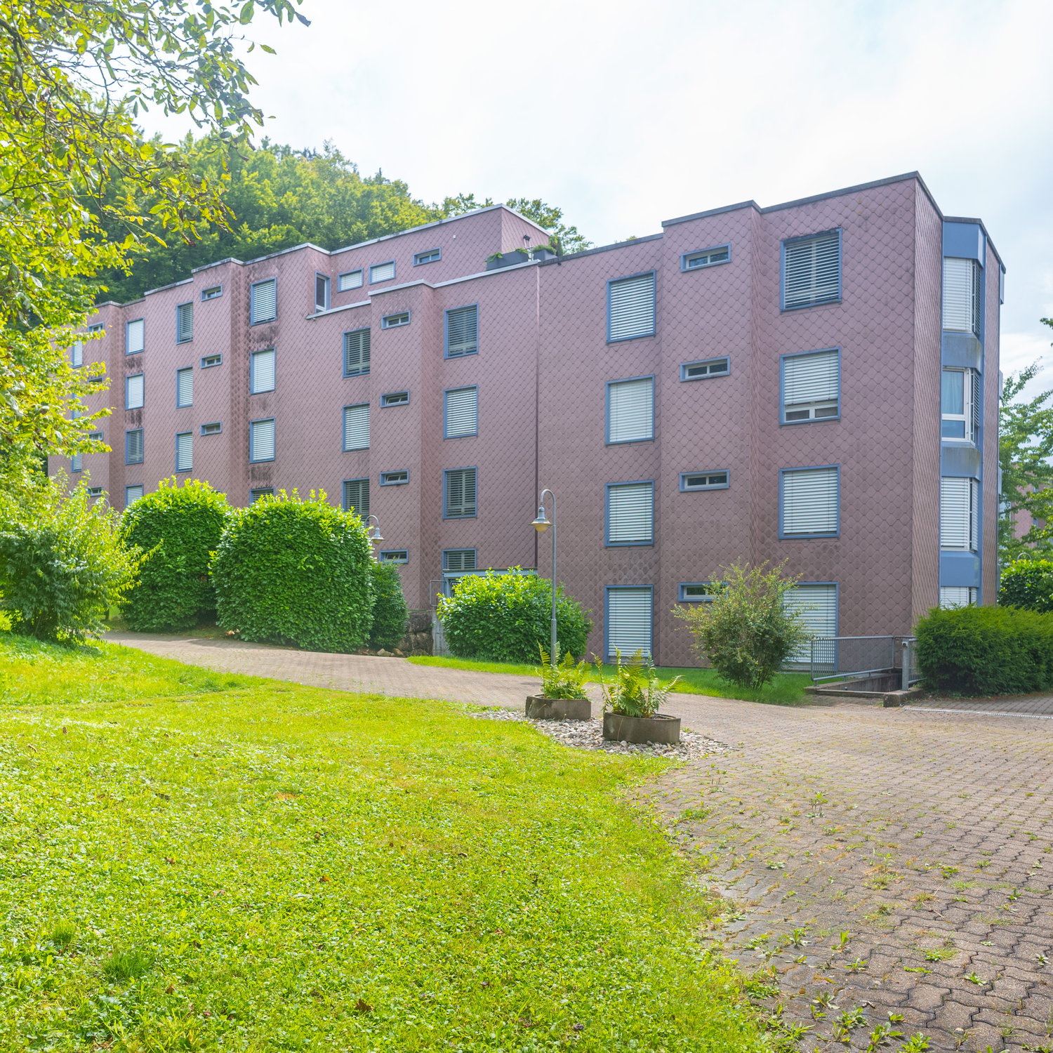 4 story building, multiple windows, green lawn, hedges, paved walkway
