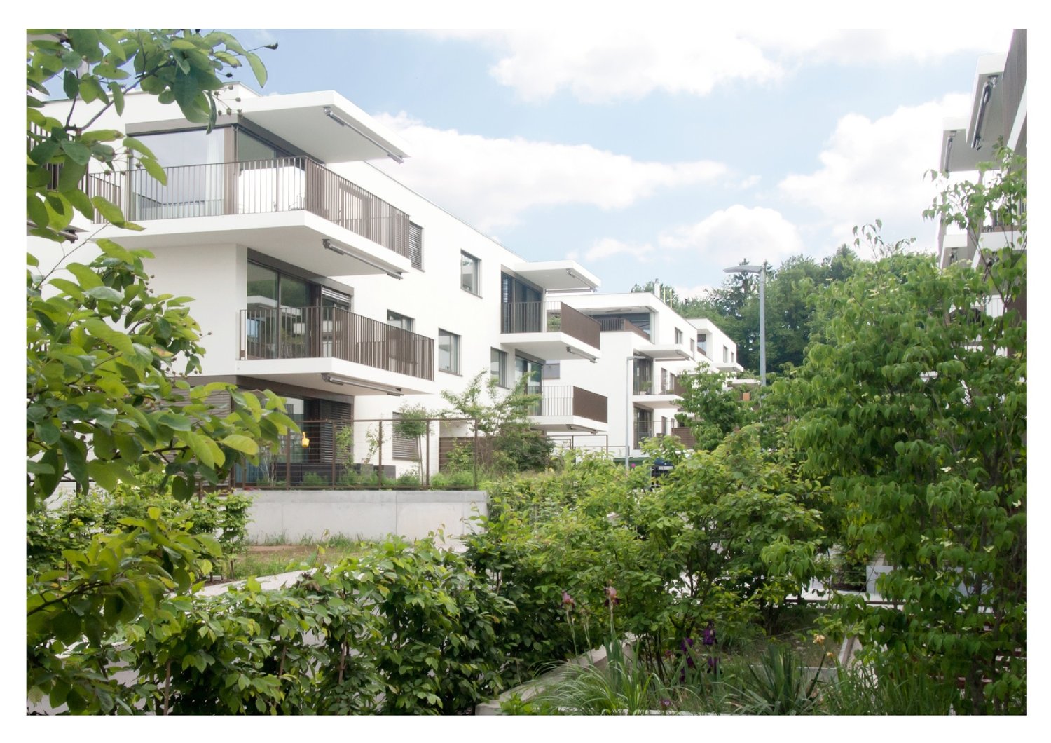 white modern apartments, balconies, green surroundings