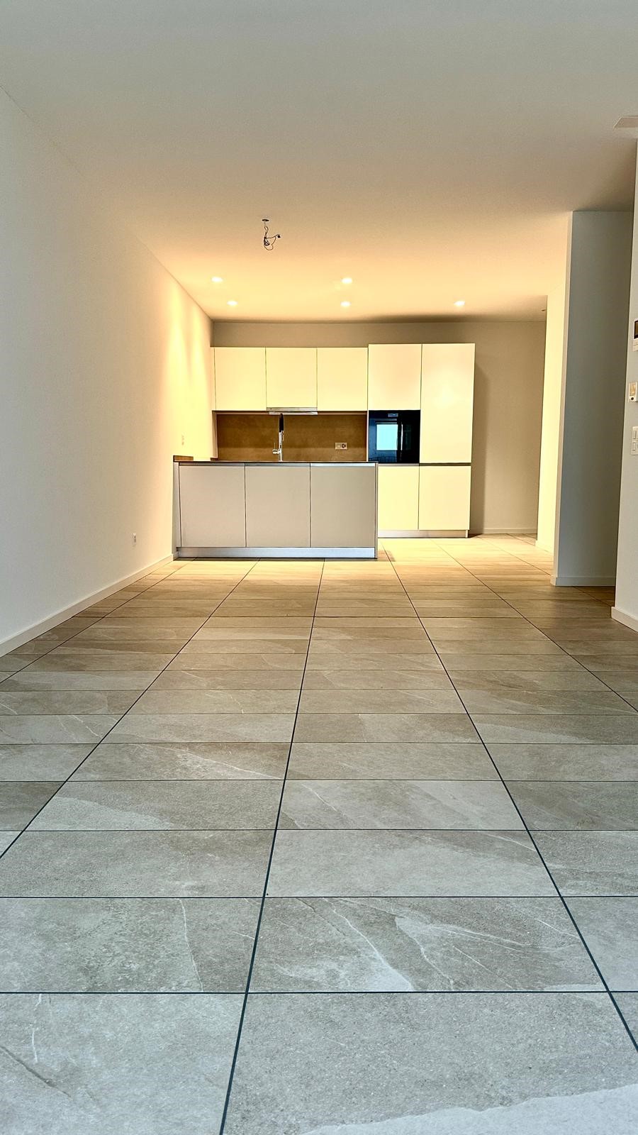 Empty kitchen with modern design