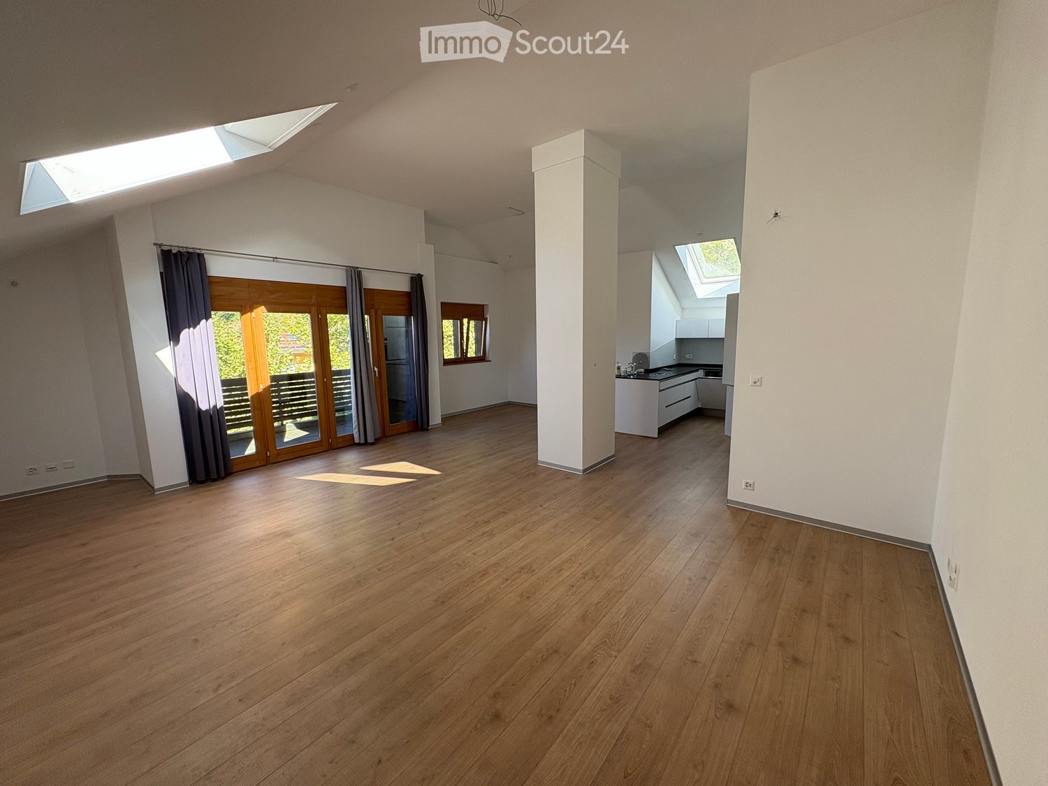 Open space with wooden floors, large sliding glass doors to balcony, white walls, two skylights