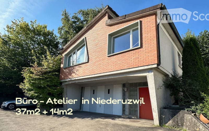 2 story house, brick facade, garage, red entrance door, car parked in front
