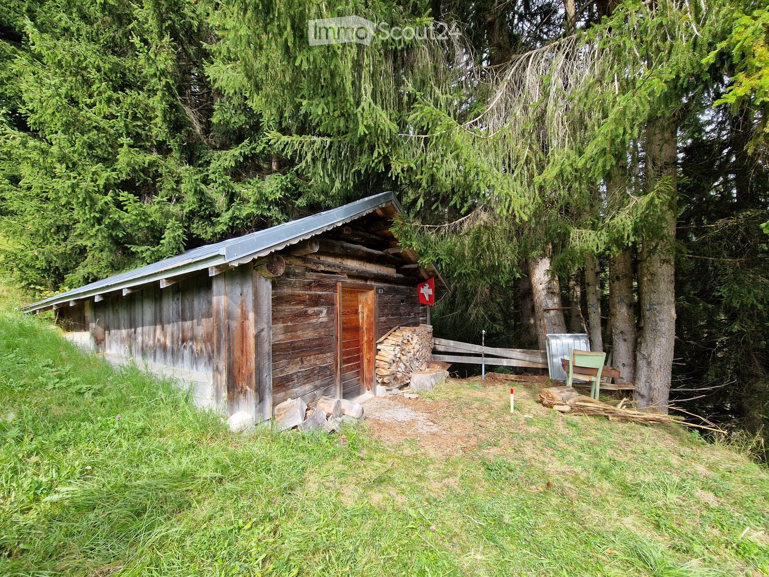 Old wooden house in the forest, metal roof, wooden door, surrounded by pine trees and grass
