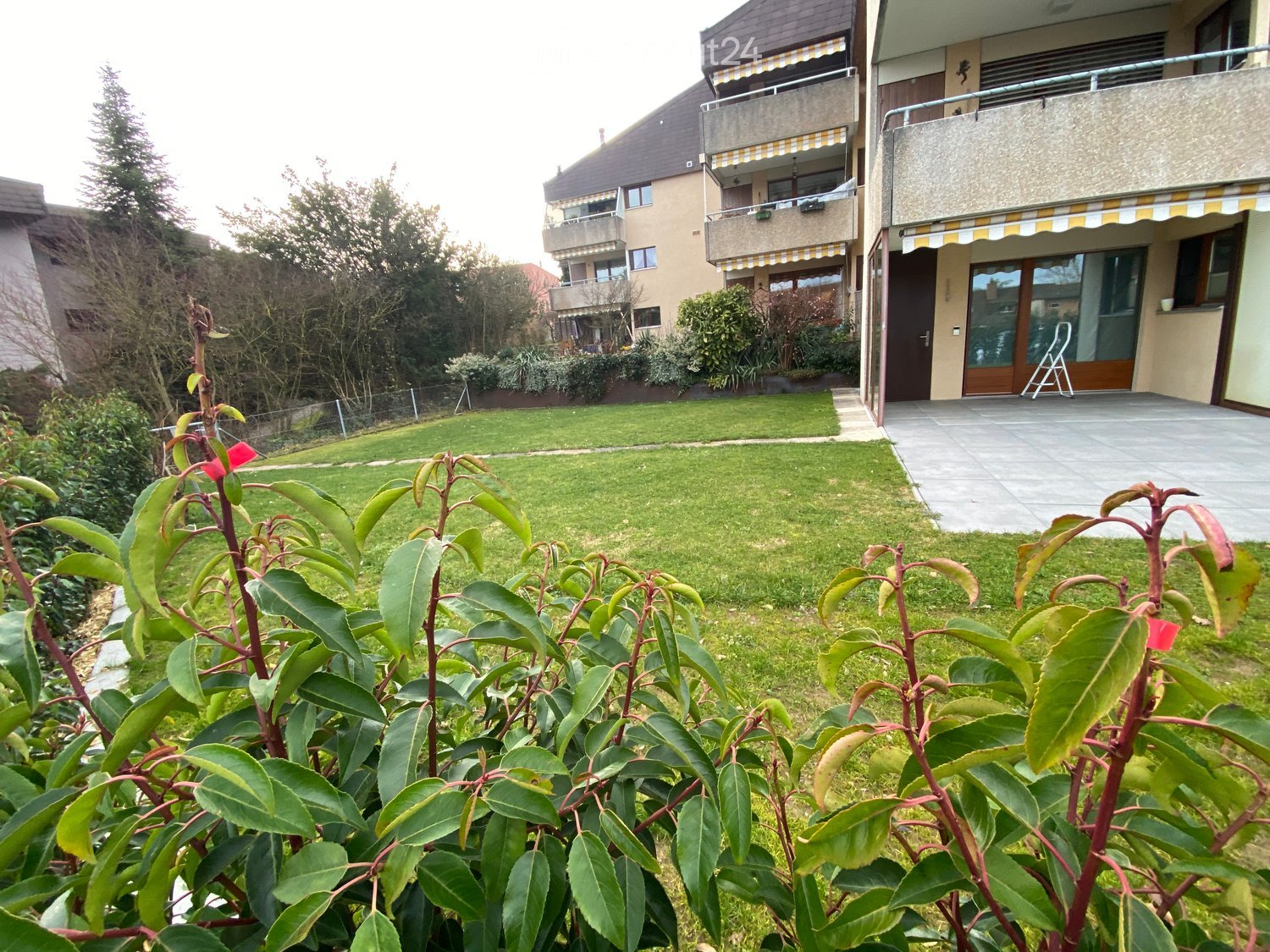 well-maintained garden with lush green grass, shrubs, bushes, and a paved walkway