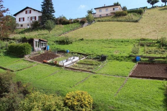 Wide garden with several vegetable beds and a small wooden house in the background