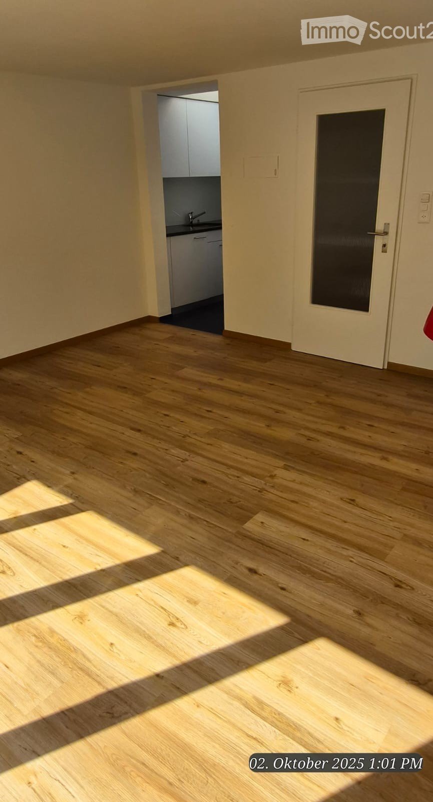wooden floor, open doorway, white walls, kitchen area with a sink, cabinets, and black carpet, and a door