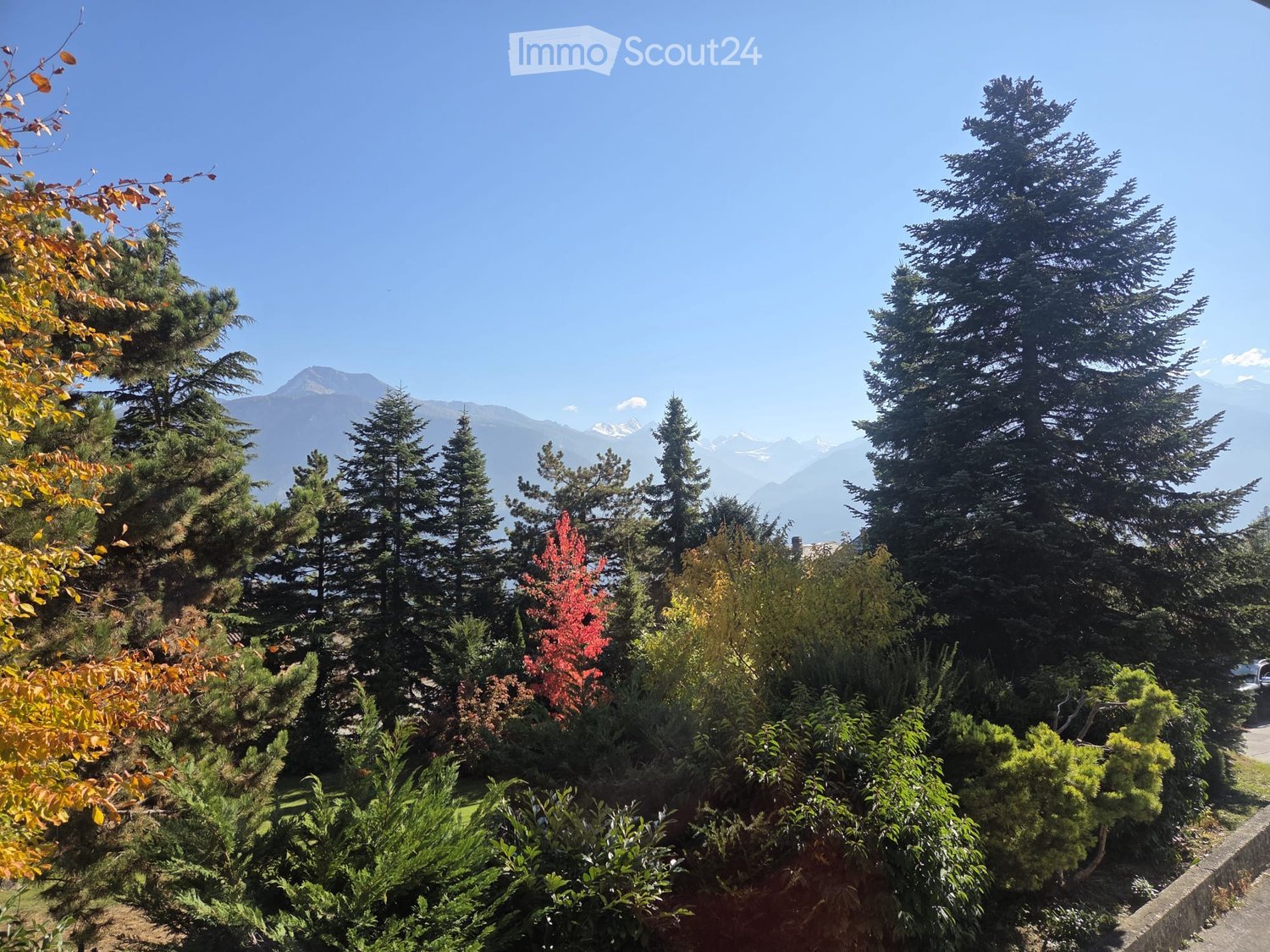 Mountains in the distance, trees, shrubs, clear blue sky