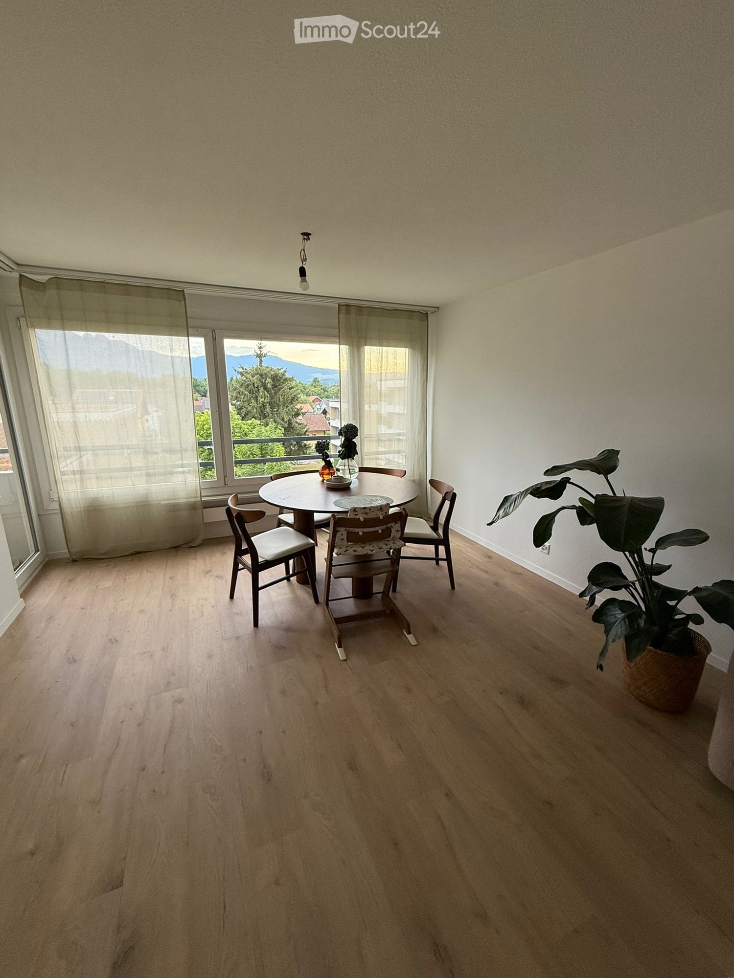 Wooden floor, round table, chairs, windows with curtains, plant