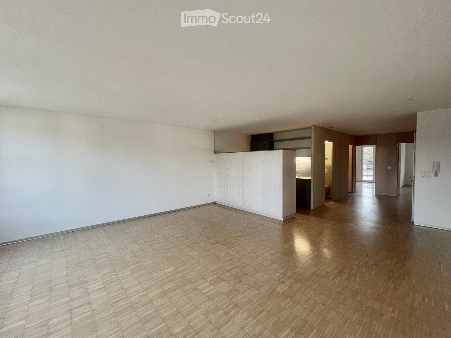 Open floor plan, wooden floor, white walls, built-in cabinets, hallway leading to other rooms, glass doors, and a balcony
