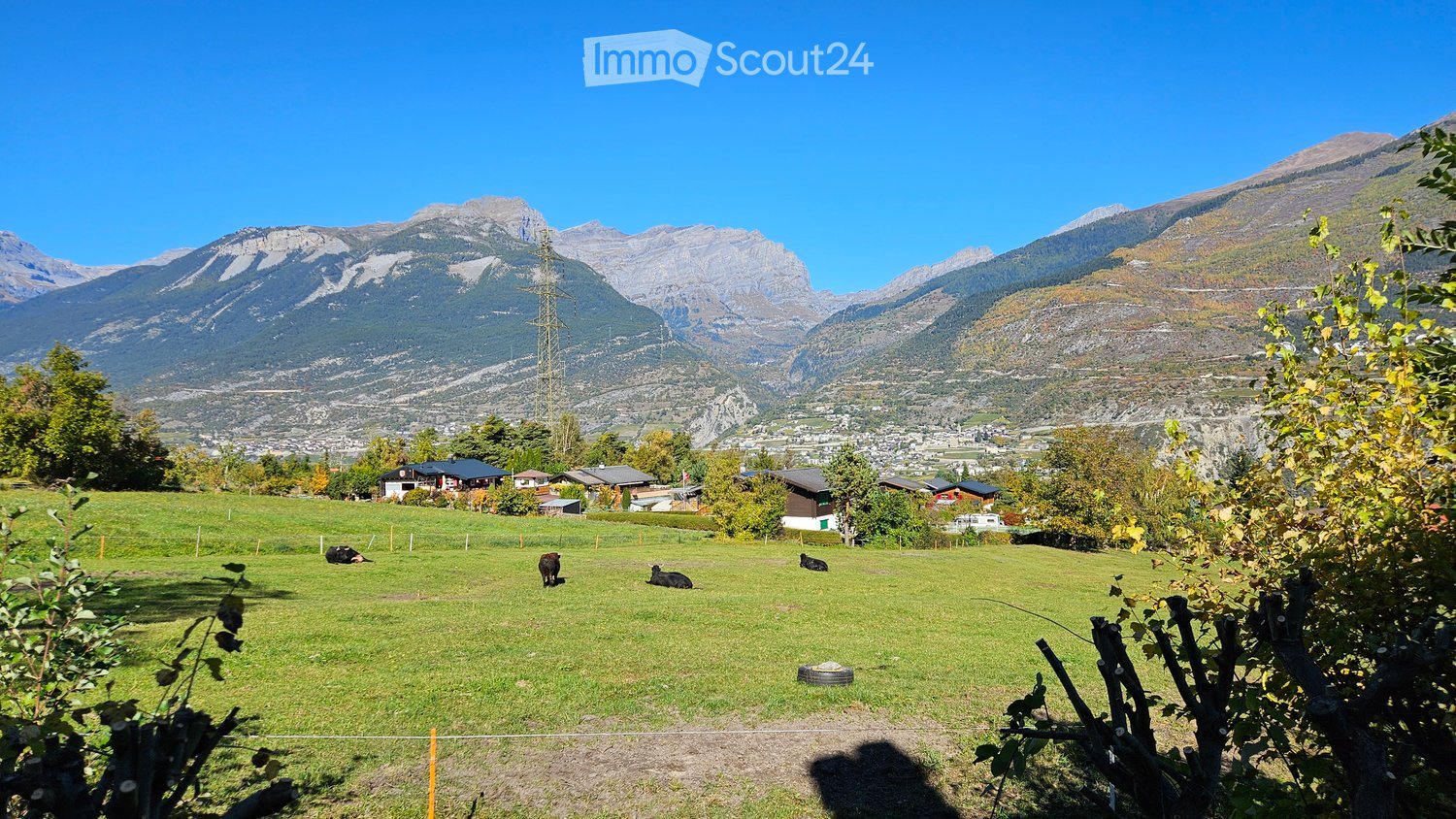 Mountains, houses in the valley, cows in a field