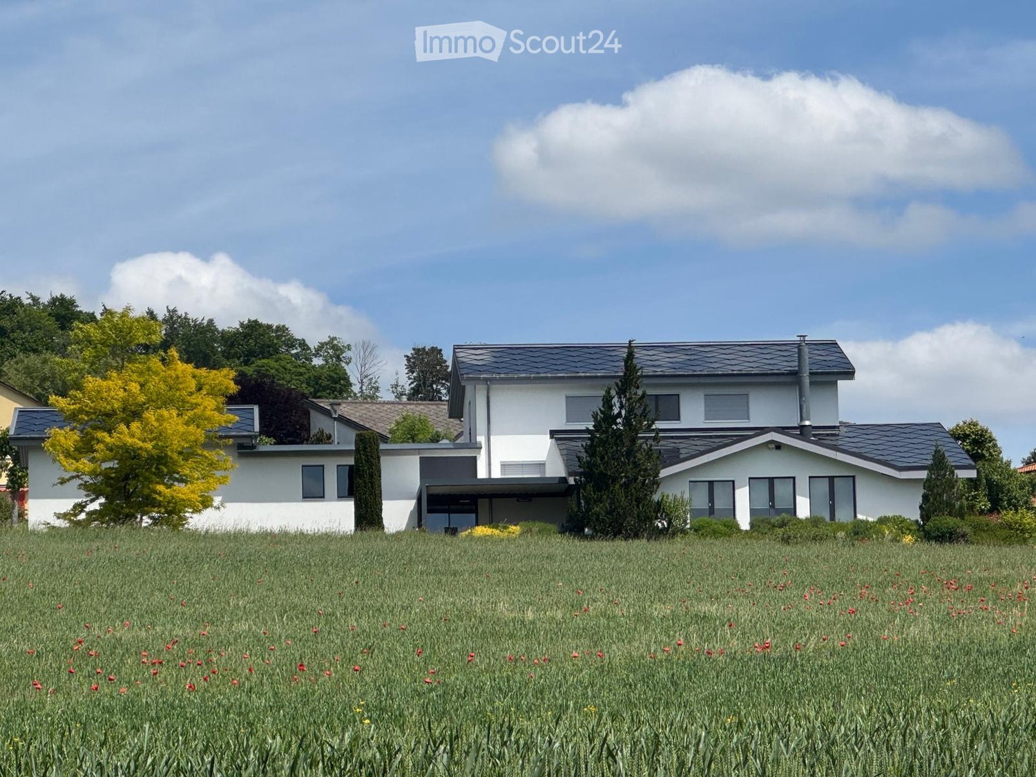 Modern white house, solar panels, set in a large field