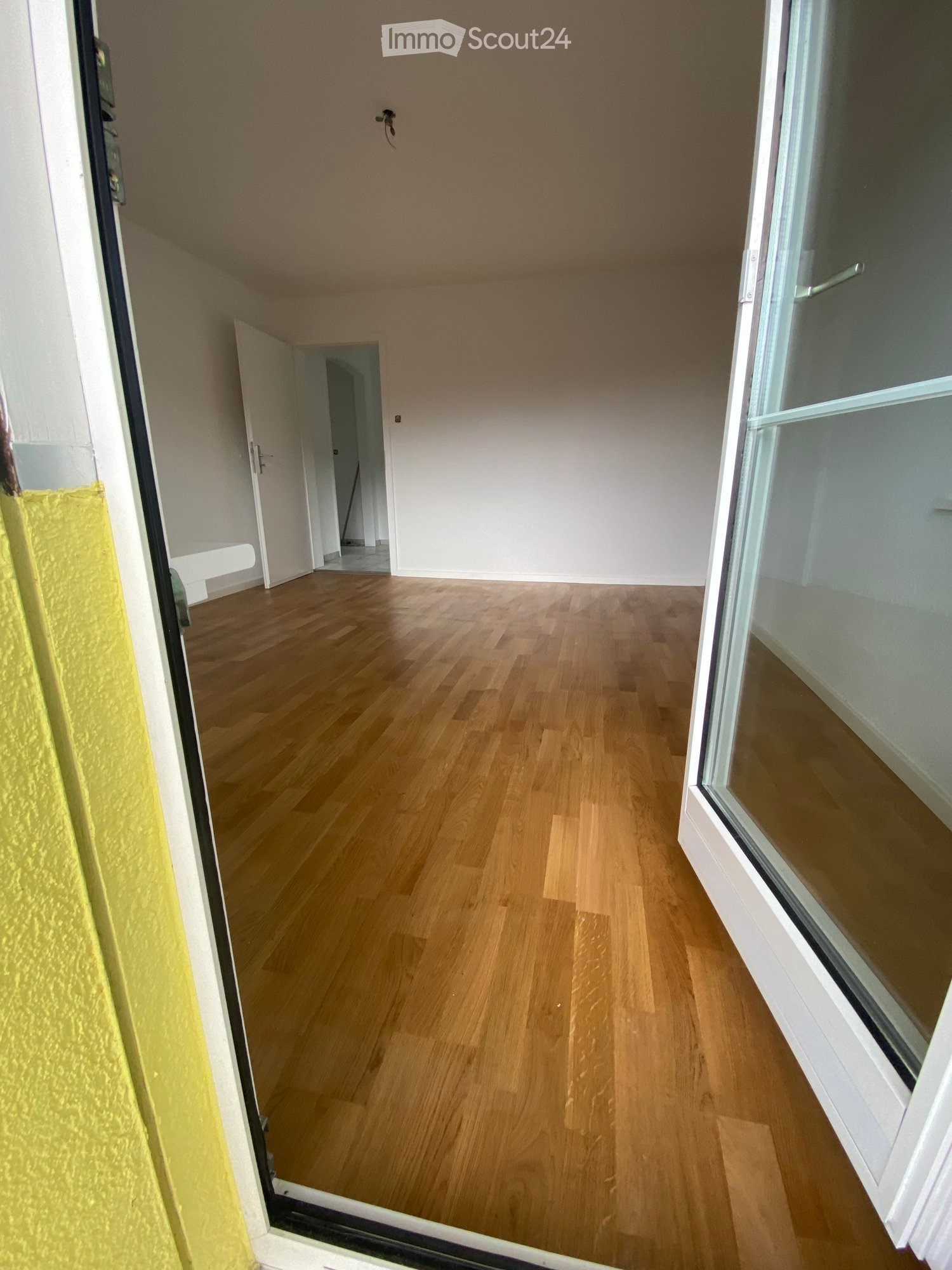 empty room, wooden floor, white walls, two white doors, glass door, light