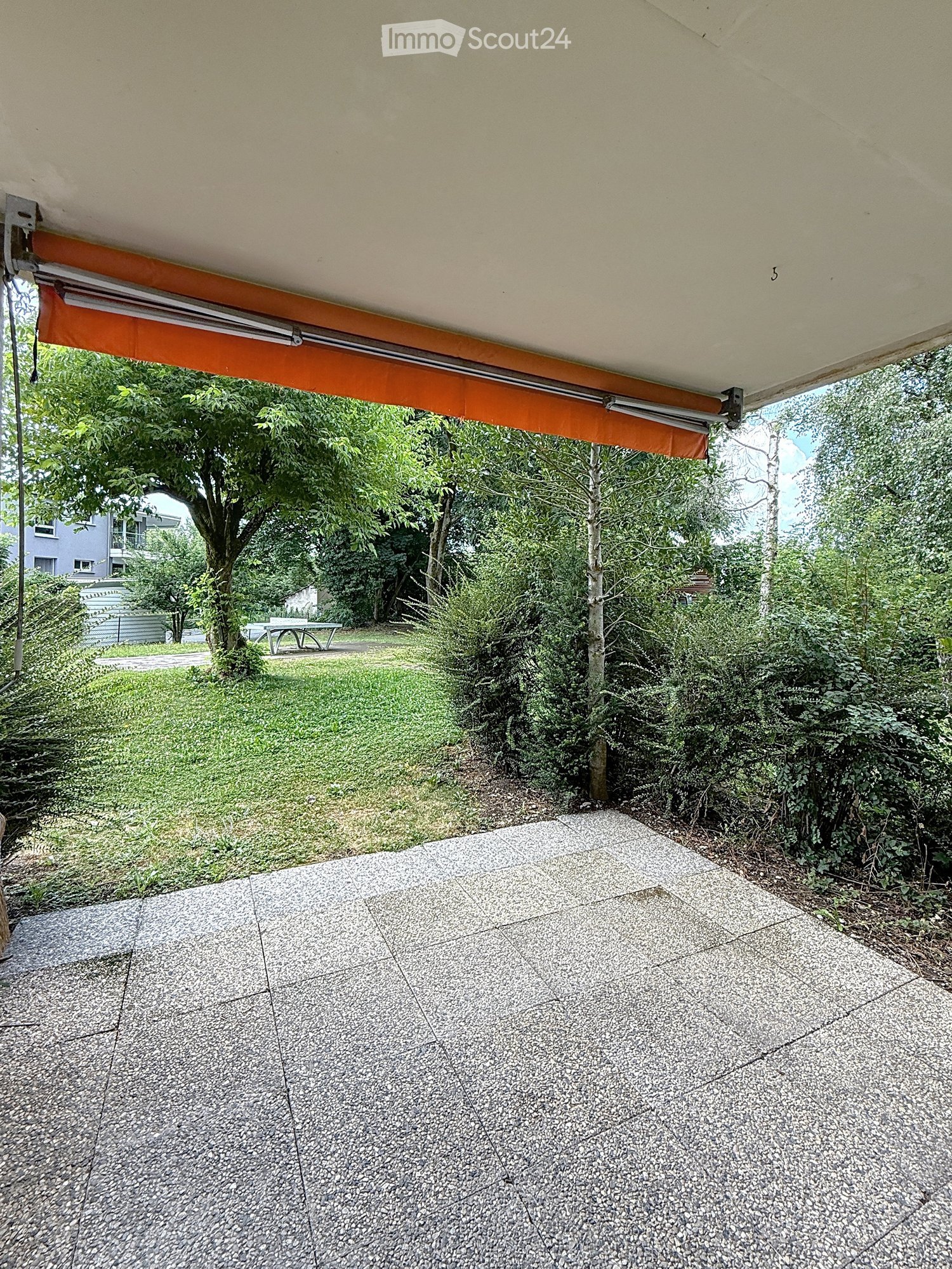 Concrete pathway, green bushes, trees, grass, table, fence