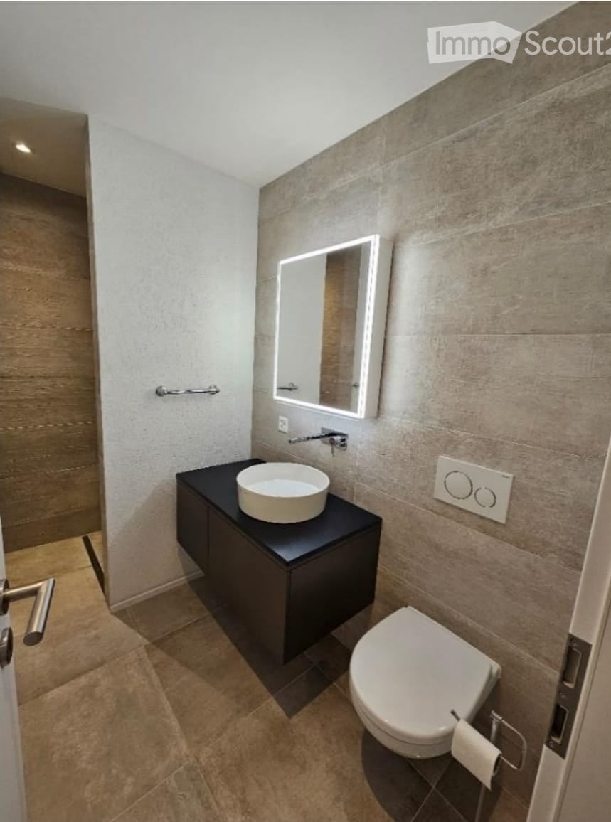 a modern bathroom with a shower, a sink, a toilet, and a mirror