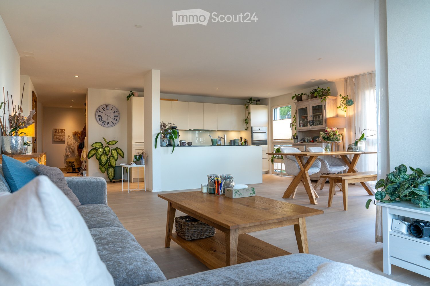 open living room with hardwood floors, a sofa with pillows, coffee table, a kitchen, dining table, wooden chairs, large window with white curtains, and potted plants