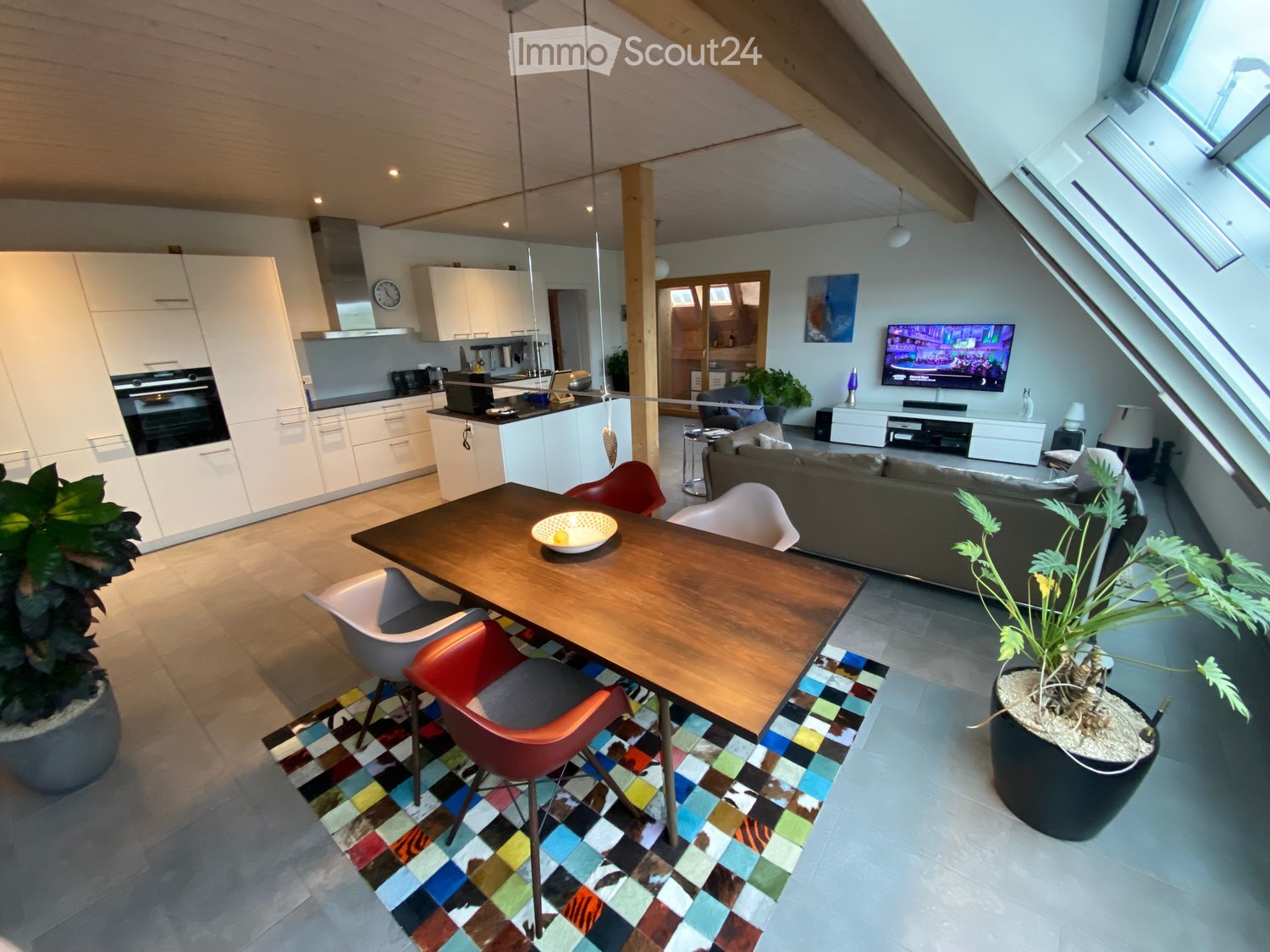 open kitchen with oven, living room with TV, dining table with chairs, sofa, and plants