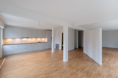 Empty room with hardwood floors, kitchen, bathroom, raised ground floor