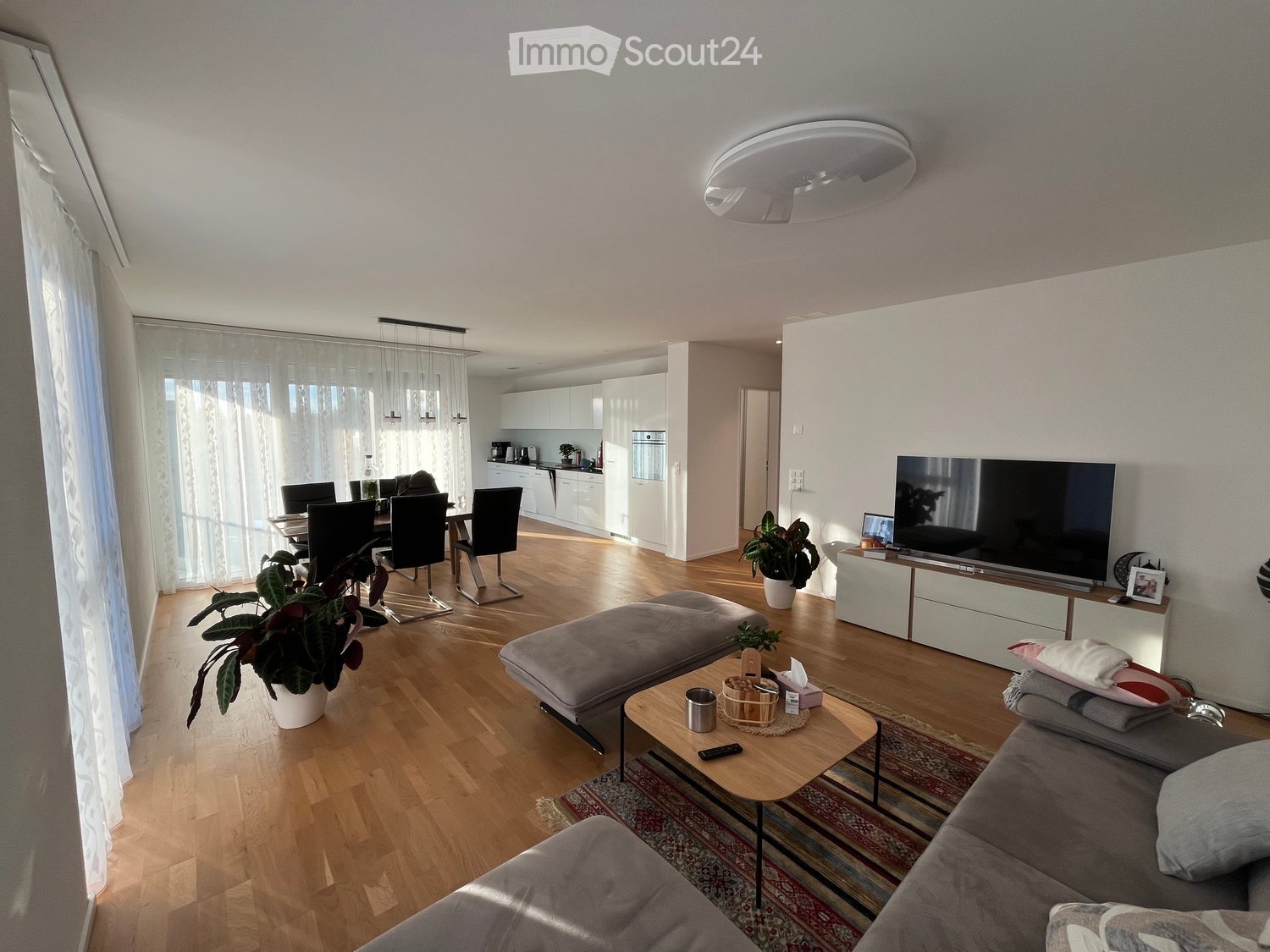 white walls, hardwood floors, gray sofa, TV, dining table, chairs, potted plants, kitchen with refrigerator, dining window