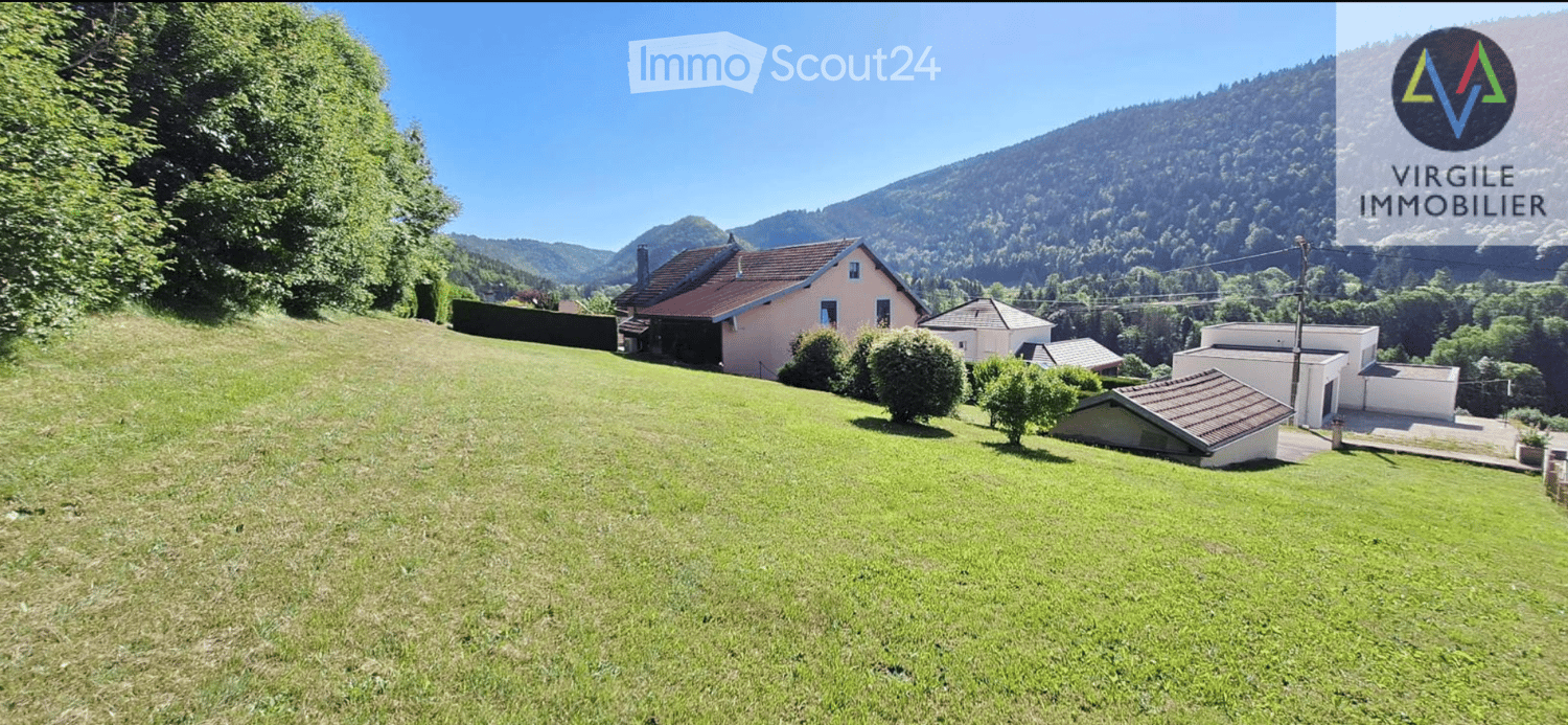Green lawn, a small shed in the lower right corner, a few trees, and a few houses in the background.