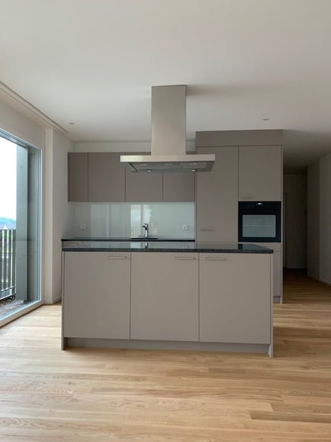 Modern kitchen with wooden floors, gray cabinetry, black countertops, glass sliding doors leading to a balcony.