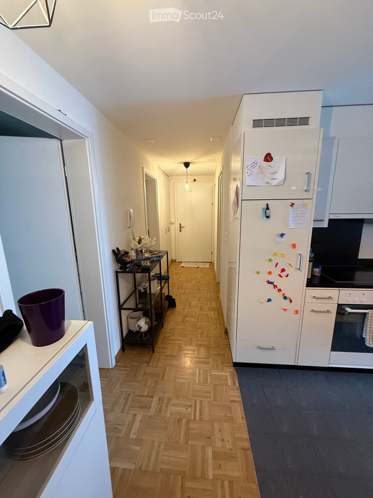 corridor, hallway, wood floors, white kitchen, dishwasher, fridge, storage room