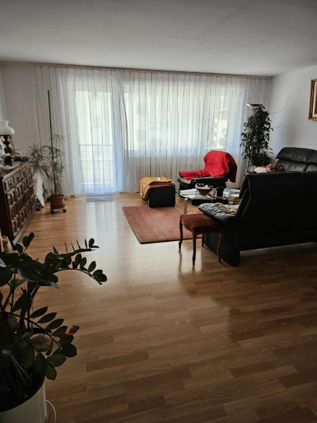 large windows, wooden floor, living couch, ottoman, side table, rug, plants
