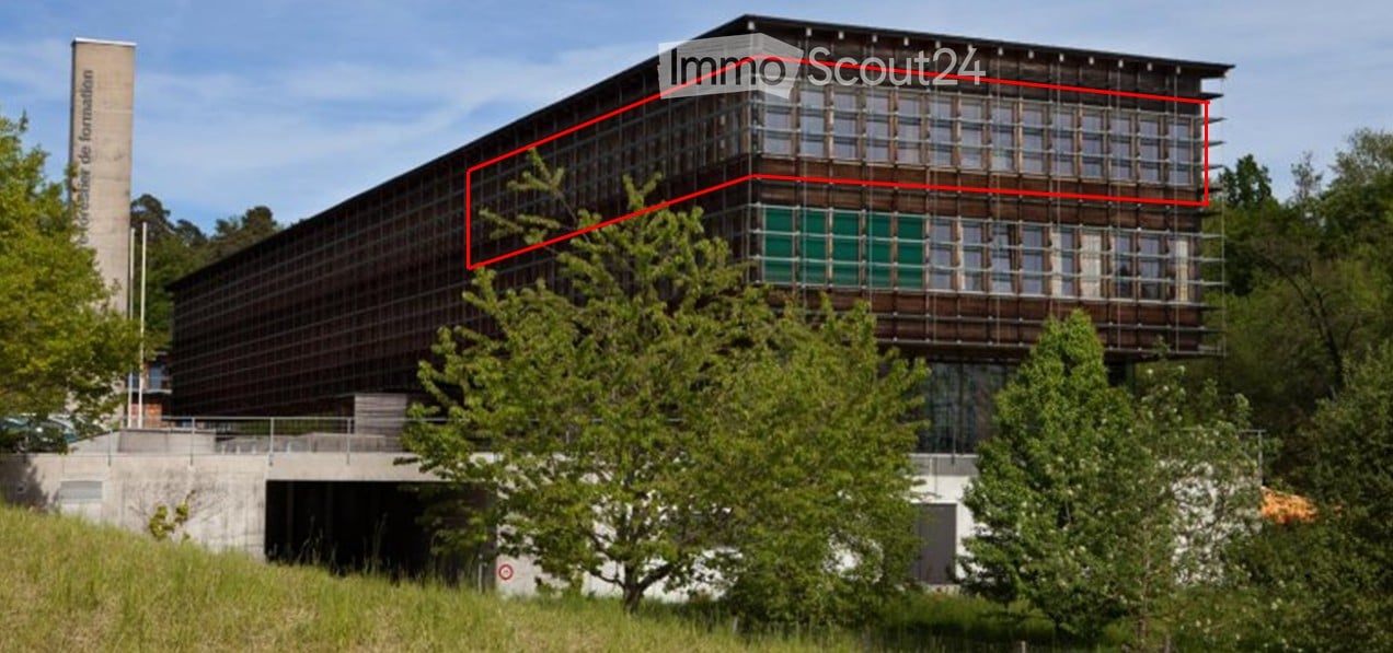 Modern building, glass windows, wooden and metal exterior, green vegetation