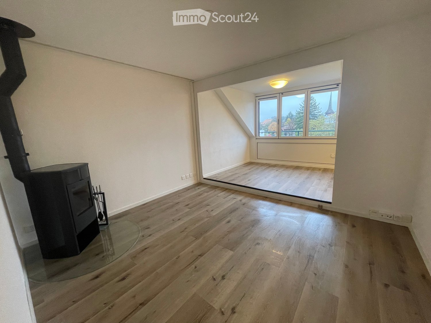 Empty room with wooden floors, glass wall leading to an outdoor area, fireplace on the left side, ceiling lamp, power outlets