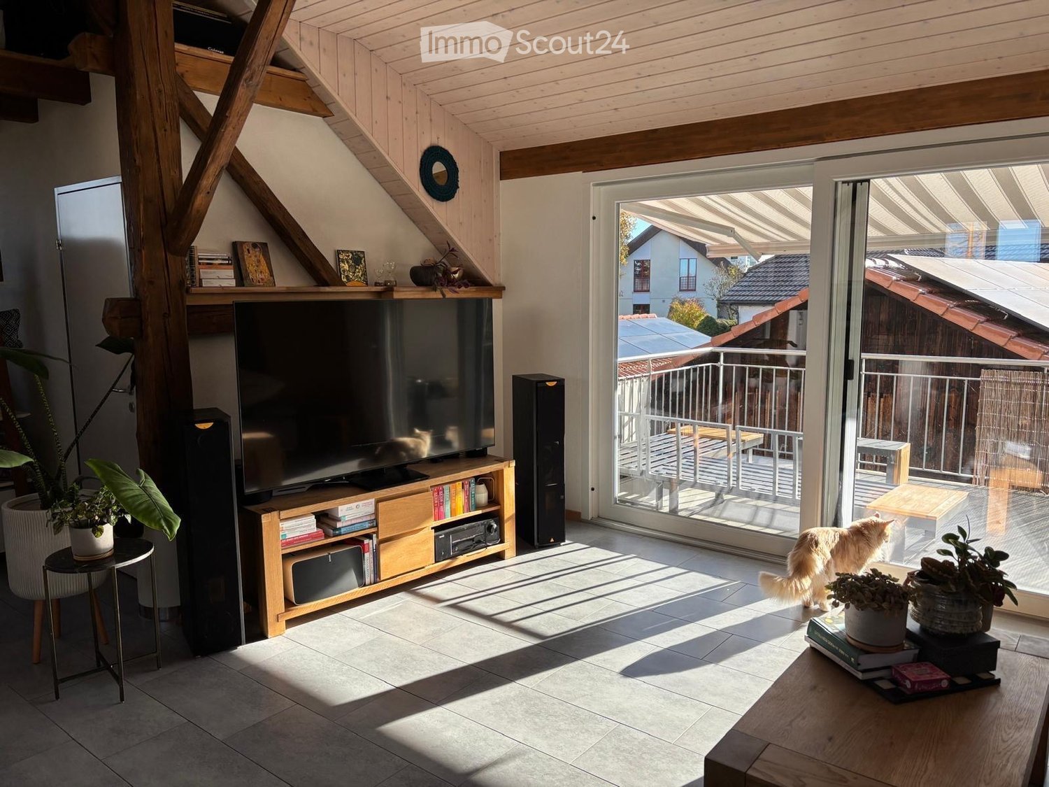living room, large windows, wooden TV cabinet, speakers, balcony, wooden table, cat, books, plants