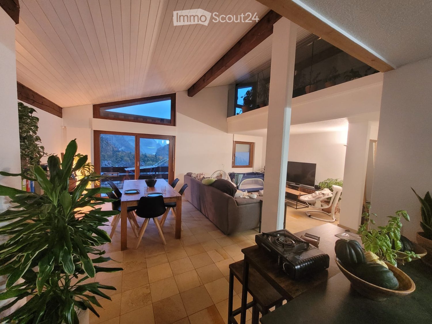 large windows, wooden floor, couch, dining table, tv, plants