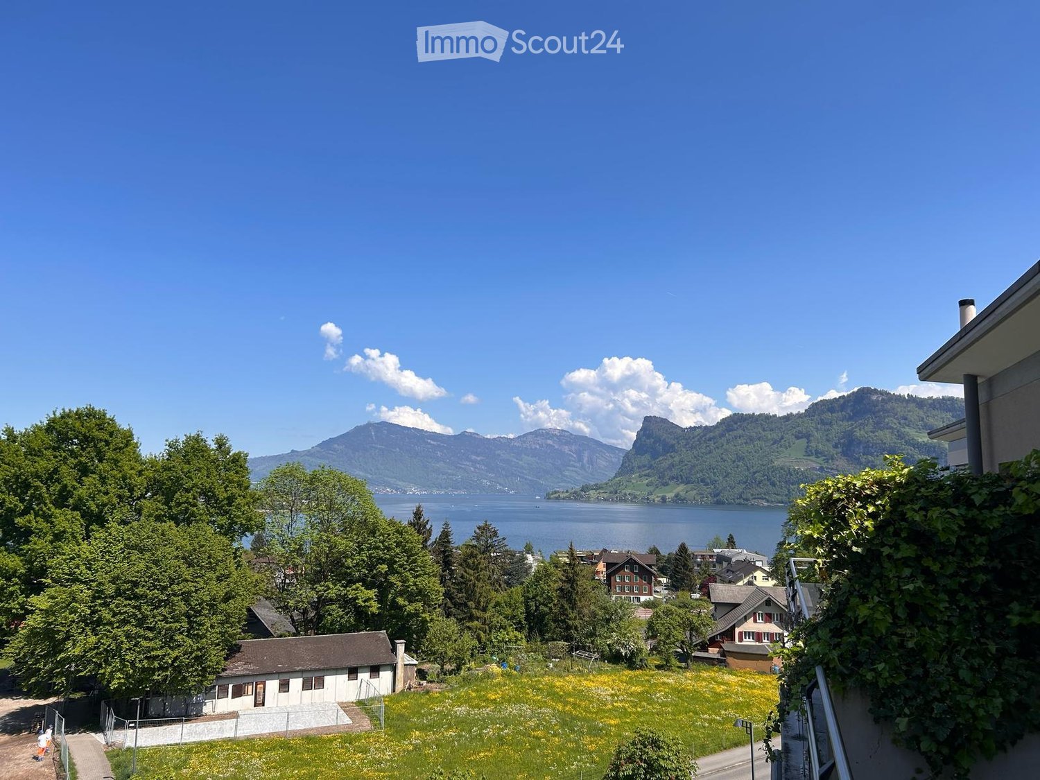 Overlooking a lake with mountains in the distance, surrounded by trees and a meadow.
