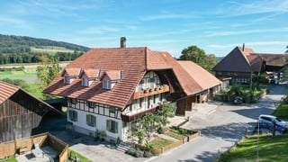 Traditional Alpine house, brown roof, white walls, several windows, garage, surrounded by other houses and trees