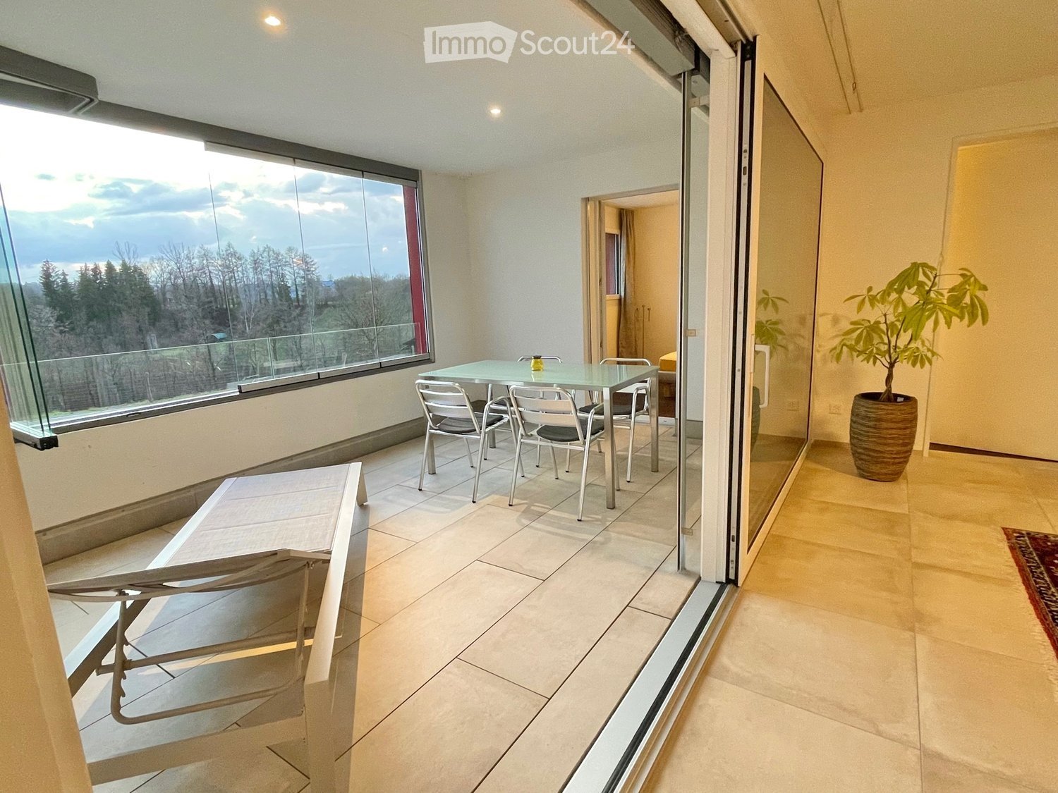 dining table, chairs, sliding glass doors, rug, plants, windows